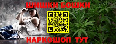 шишки Камышлов