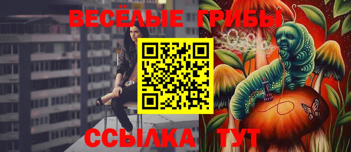 Галлюциногенные грибы Cubensis Людиново